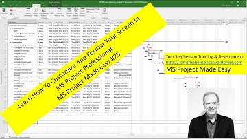 Learn how to customize and format your project in Microsoft Project, Microsoft Project Made Easy