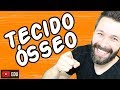 Tecido Ósseo - Histologia - Aula | Biologia com Samuel Cunha