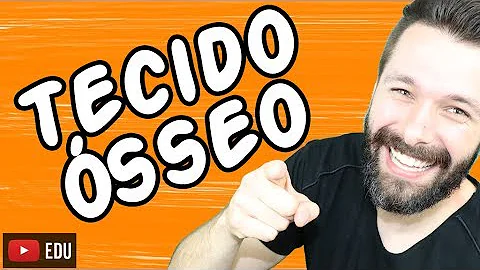Qual é o tecido conjuntivo encontrado nos tendões?