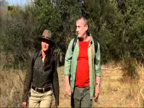 Danice Moments || Danny And Alice Wave the Elephant heard Goodbye