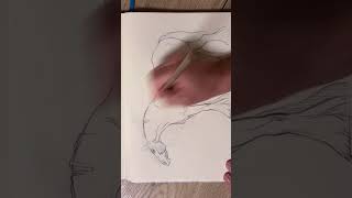 Horse Gesture Drawing | Capturing Movement Horse Gesture Drawing | Capturing Movement