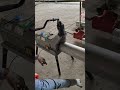 Grooving Machine Work #hse#construction #safety#ppe #jcb#viral#tranding#shorts#hindi#jcb#safetyfirst