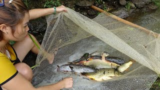 Fishing Technique - Create A Fish Trap Net System On A Small Stream Branch | Catch Many Fish