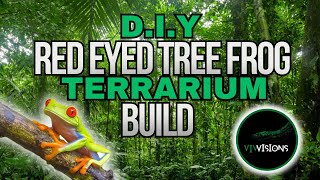 D.I.Y RED EYED TREE FROG TERRARIUM BUILD.