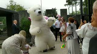 Білий ведмідь на день народження Львів