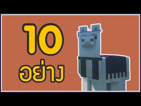 ⭐ที่คุณไม่เคยรู้เกี่ยวกับลามะ ( Llama ) | Minecraft