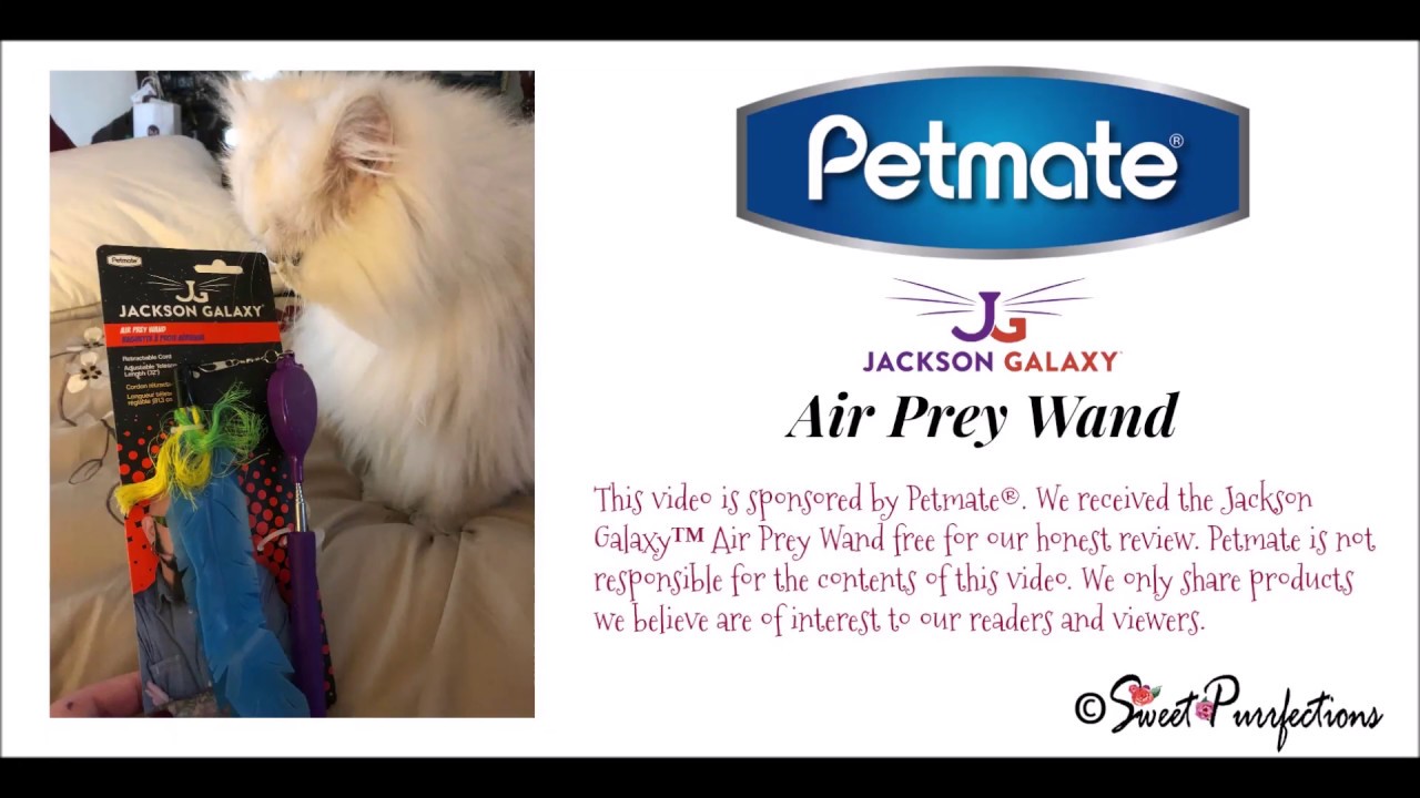 Petmate® Jackson Galaxy™ Air Prey Wand