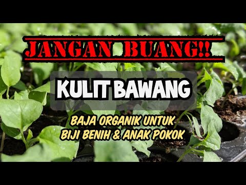 Video: Baja Organik Untuk Memberi Makan Anak Benih