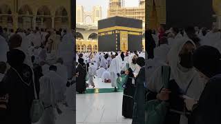 Islamic Shorts You Wont Believe Existislamic Shorts Islamic Shorts Galore quran naat ai