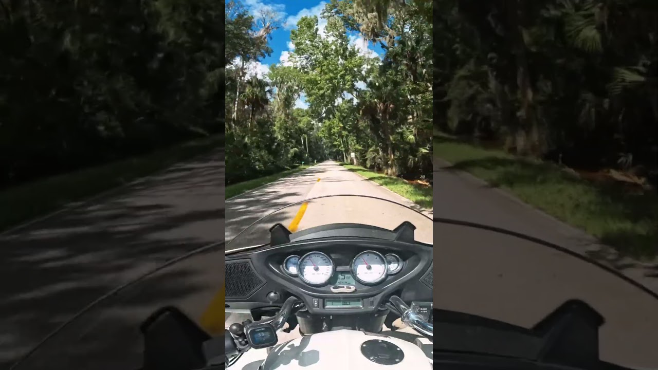 Florida Backroads 11 