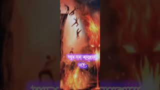 Mizanur_Rahman_azhari_short video islamicbdhimel আবরারুল_হক_আসিফ_নতুন_ওয়াজ