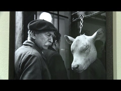 Photographer's hymn to the 'murdered' heart of Paris - YouTube