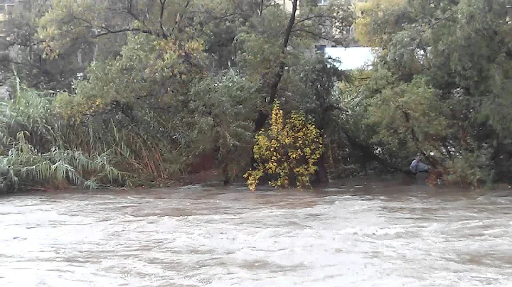 River rescue
