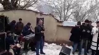 картинка: Туи даштичум