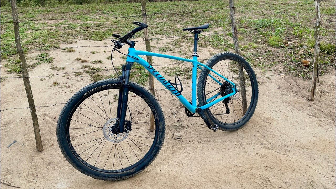 specialised rockhopper 2019