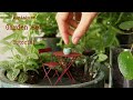 Miniature garden set  tutorial