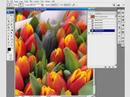 Project Overview of Introduction to Photoshop CS3 Training