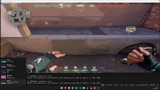 Valorant realtime object detection Devlog3