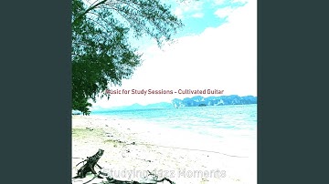 Vibrant Backdrops for Midterm Exams