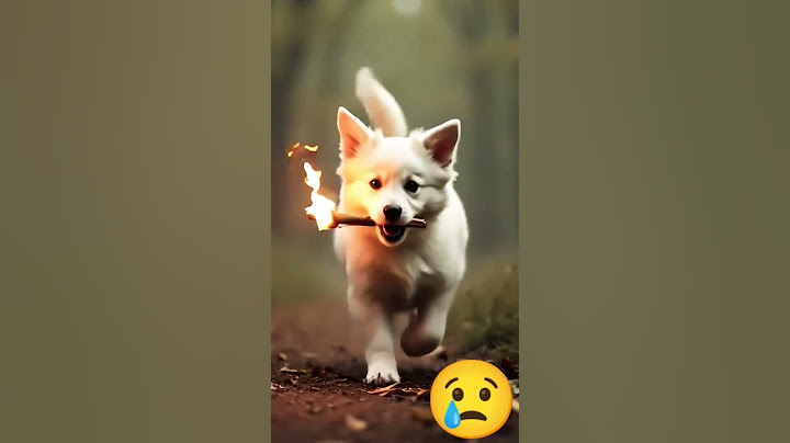 Ek Dog Ne Bacche ko Bacha Liya #aidog #dog #dangerous #aishorts #aivideo