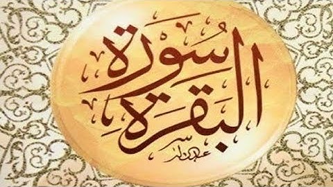 سورة البقرة  برواية قالون عن نافع المدني ( محمد أيوب الركباوي )
