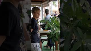 Neueröffnung Am 14.10. 2023 Jenny Delüx, Happy Schnitzel In Cala Millor