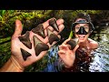 We Explored an Alligator Infested Florida Swamp and Found TONS of Shark Teeth | Fossil Hunting