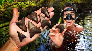 We Explored an Alligator Infested Florida Swamp and Found TONS of Shark Teeth | Fossil Hunting