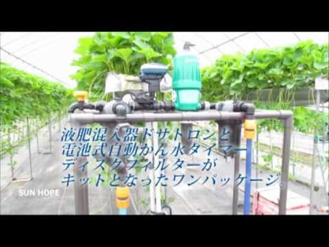 肥家効蔵 (こやしやきくぞう)一式ドサトロン＆スプリンクラーシンカー他全て 低価格で使える簡易養液栽培キット 肥家 効蔵（こやしや きくぞう