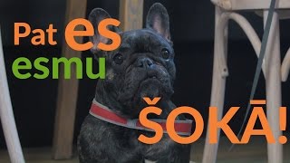 Nebrīnies - Nāc Studēt It Jelgavā