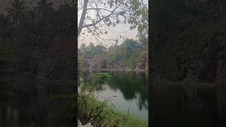 nature with Bird sound. #vairalvideo #calicut