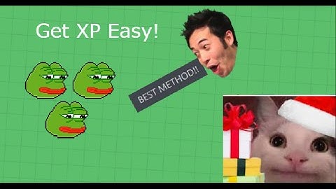 Best Way to Get XP!! | Dank memer