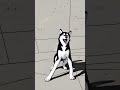 #husky