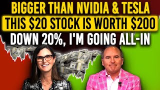 Cathie Wood: The Opportunity Of A Lifetime, Buy The Dip In This Stock To Become Millionaire In 2024