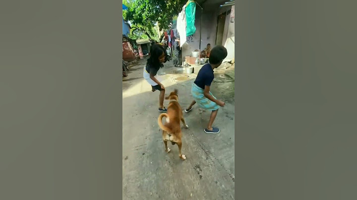 That dog mind voice: dei ena da pandringa 😂😂 #dog #shorts #ARSurey