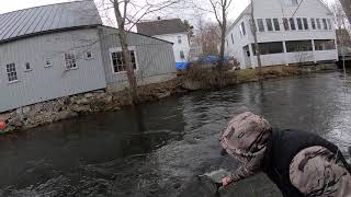 Land Locked Salmon New Hampshire