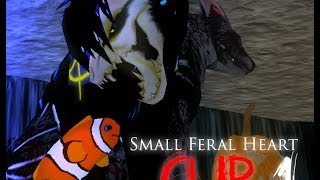 Feral Heart Halloween Party 2013 (Small clip)