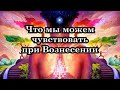 Что мы можем чувствовать при Вознесении