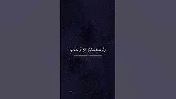 آيات من سورة لقمان ﴿ 6 - 7 ﴾ ياسر الدوسري