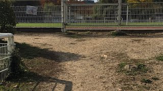 Gif-sur-Yvette
