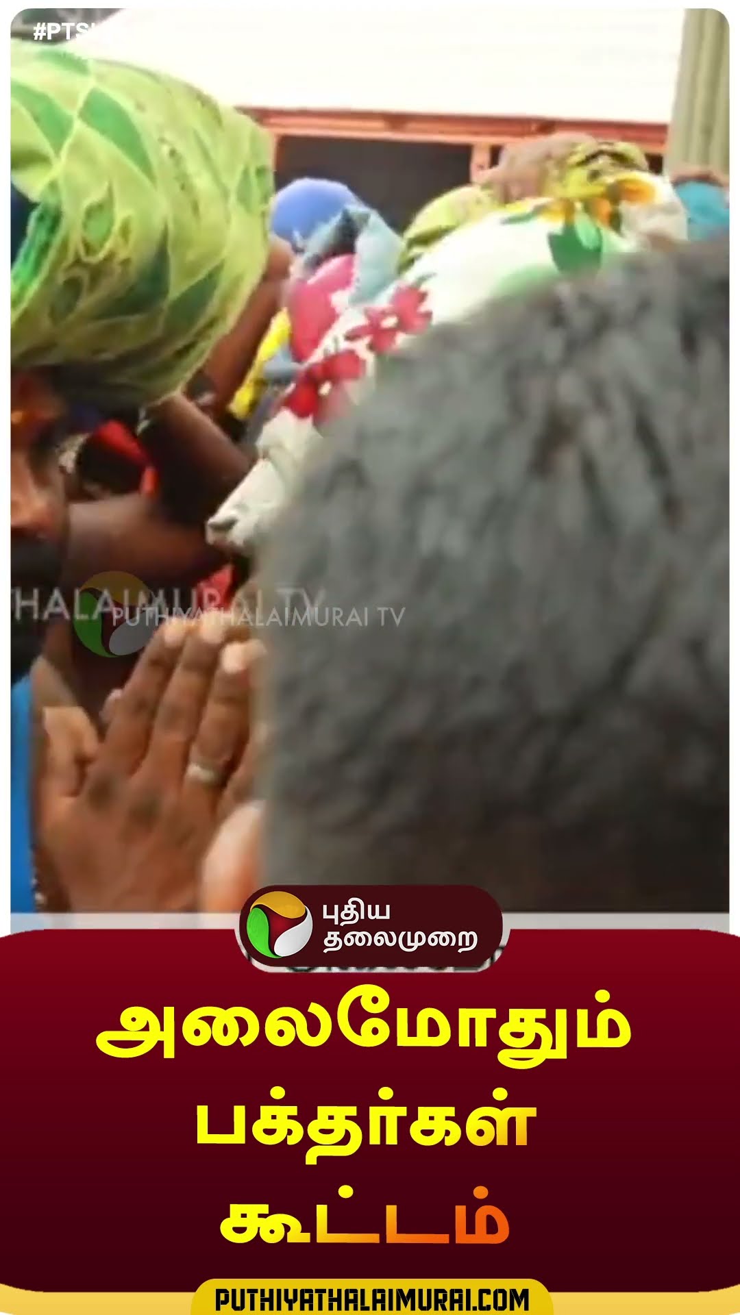 Heavy rush at Sabarimala | #shorts | #sabarimala | #devotees