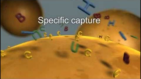 Isolation of Cells and Molecular Material using Magnetic Separation Technology