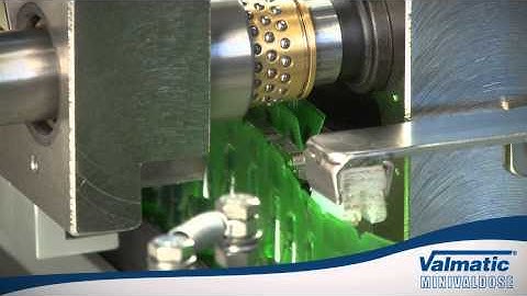 Valmatic Mini-Valdose Form-fill-seal Machine