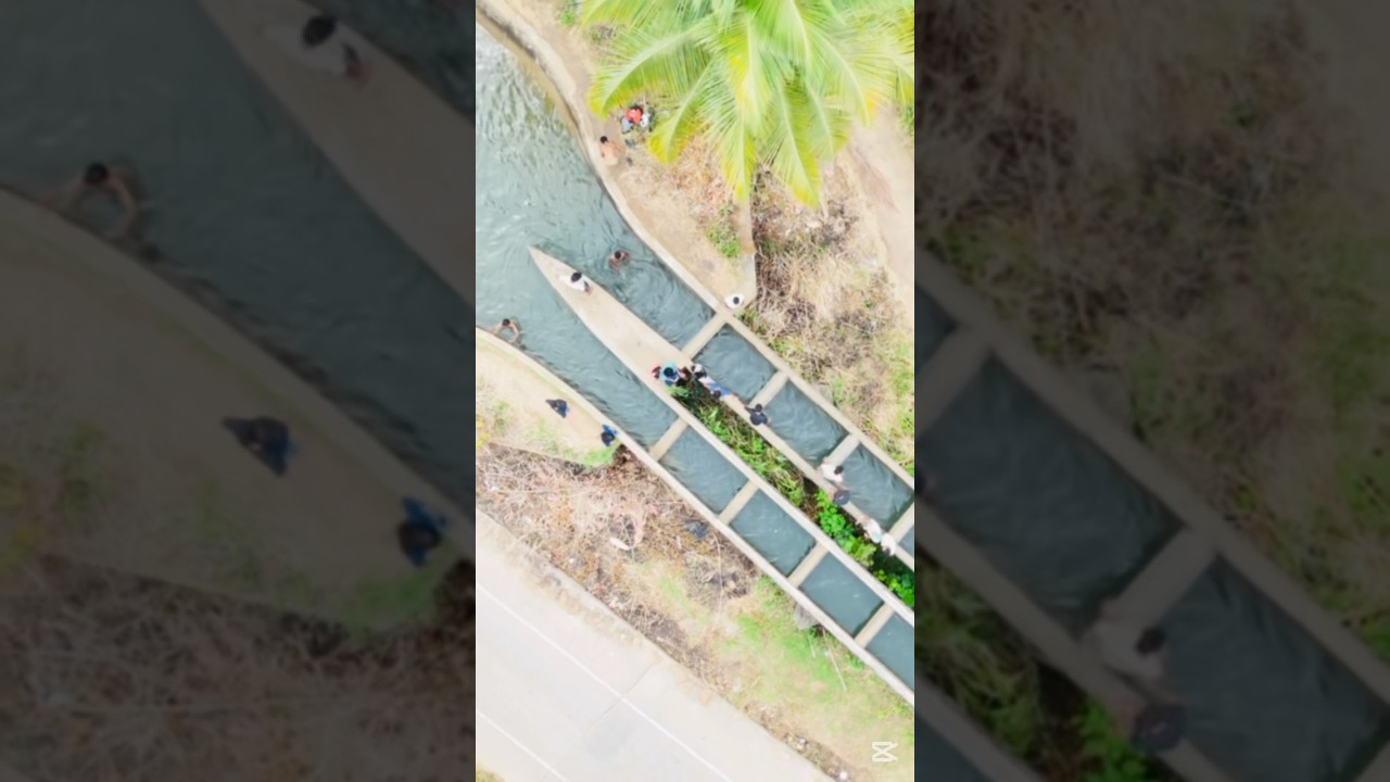 Ginipetti Palama..🌿💦🍃☀️ Muruthawela❣️✨ 