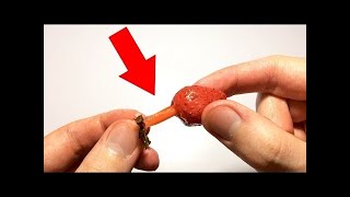 DUYMAYAN KALMASIN Yanlış Yediğimiz 5 Yiyecek - Doğrusunu Gösteriyoruz