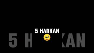 Ek Allah Do Jahan Teen Teetar Saat Aasman Mujhe Ine Sab Ki Kasam Mujhe Tumse Mohabbat Hai Story