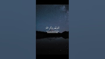 قرآن الكريم ❤️❤️❤️ ( أرح سمعك )