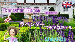 イギリス花散歩 Flower Walk Youtube イギリス花散歩 Flower Walk Youtube