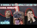 "10 Horrible Ways Animals Can End You" @mndiaye_97 | HatGuy & Nikki react