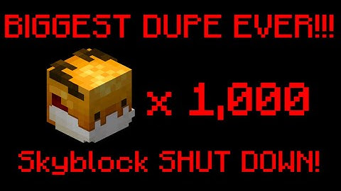 The BIGGEST Dupe in Hypixel Skyblock (TRILLIONS DUPED!!)
